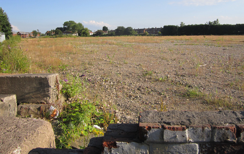 Brownfield_site_near_Cromwell_Road_Ellesmere_Port_(87).jpg